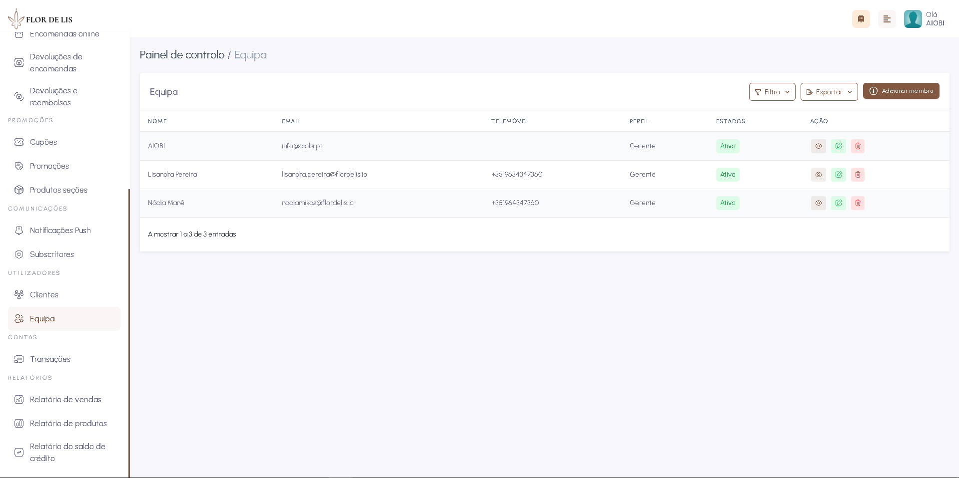 Screenshot da interface