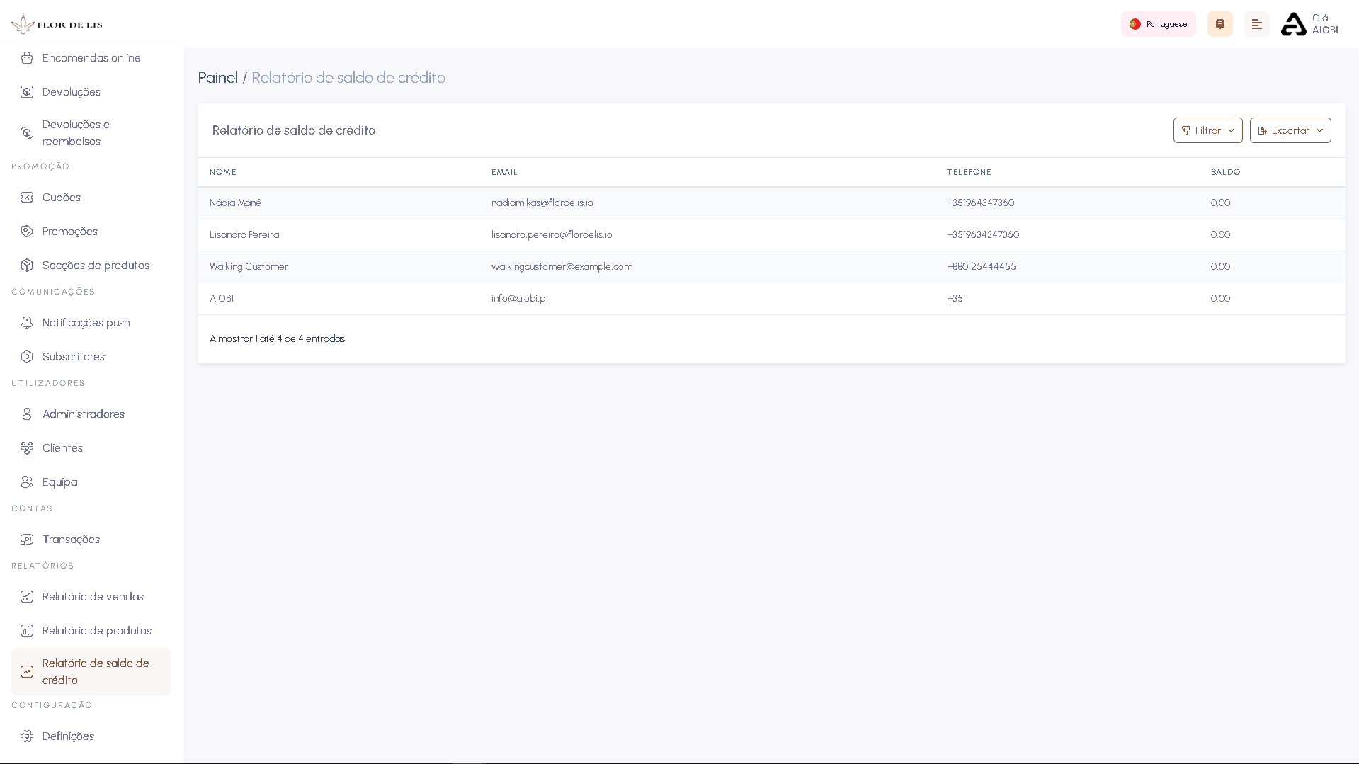Screenshot da interface